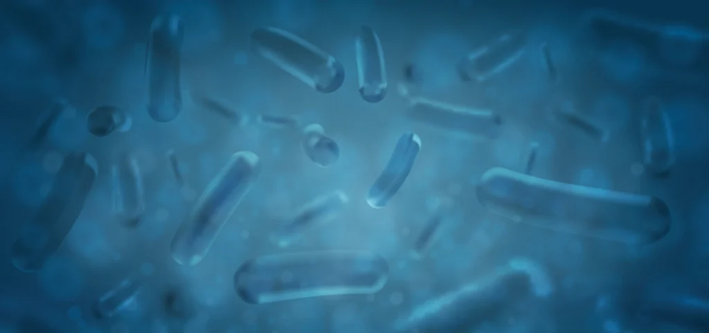 Różnice między probiotykami a prebiotykami - co warto wiedzieć?